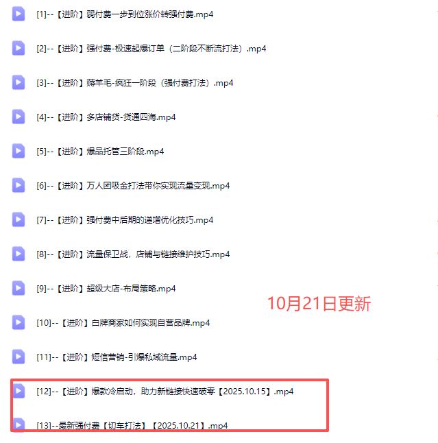 图片[5]-大炮电商-拼多多全阶实战课程2025年10月21日更新_-吾爱副业网