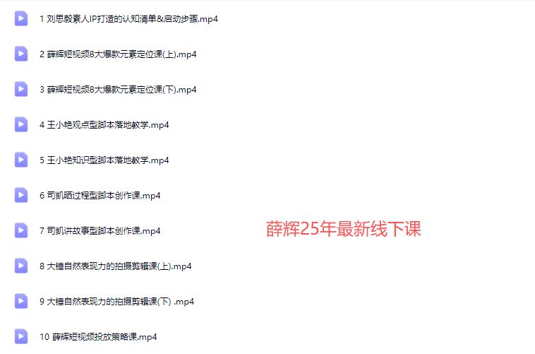 图片[4]-薛辉群响-短视频ip实操变现大课 7月26-27日广州站线下课(价值2399元)_-吾爱副业网