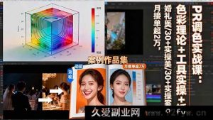 16336期PR调色秘籍:色彩理论+工具实操+婚礼医美30+案例,月入超2万不是梦-吾爱副业网