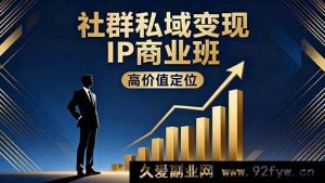 16309期社群私域变现IP商业秘籍:高价值定位+精准引流+私聊成交,年入百万不是梦-吾爱副业网