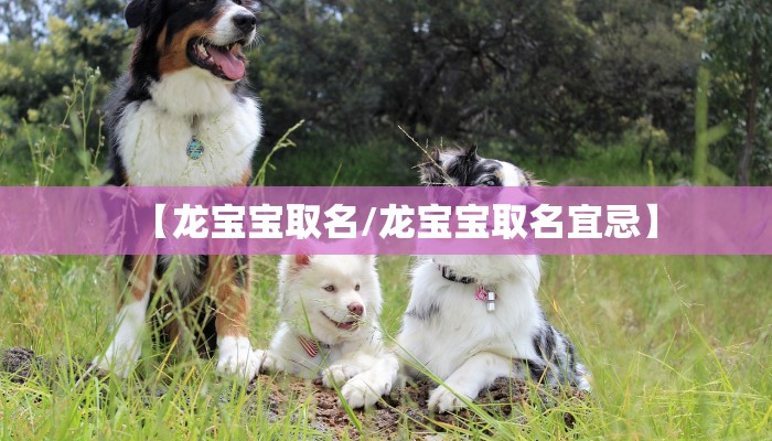 【龙宝宝取名/龙宝宝取名宜忌】
