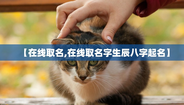 【在线取名,在线取名字生辰八字起名】