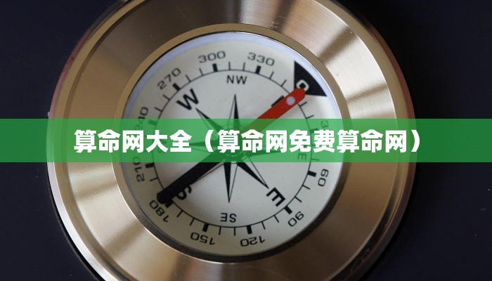 算命网大全(算命网免费算命网)