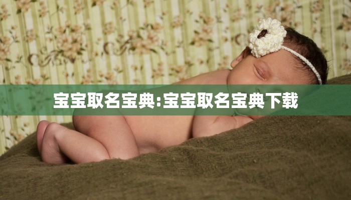 宝宝取名宝典:宝宝取名宝典下载