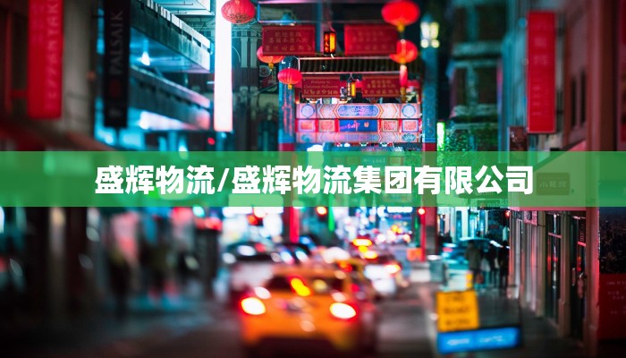 盛辉物流/盛辉物流集团有限公司