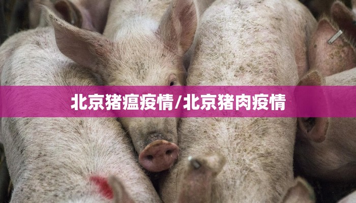 称骨算命表男女/称骨算命表男女版详解八字算命网