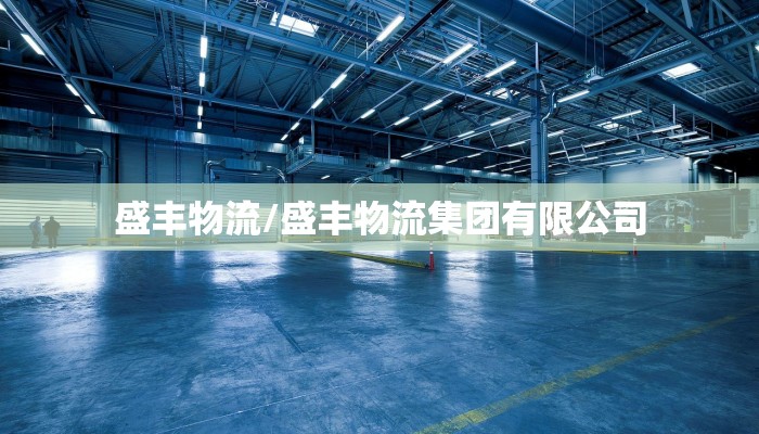 盛丰物流/盛丰物流集团有限公司