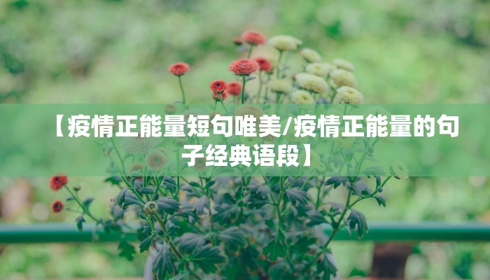 【疫情正能量短句唯美/疫情正能量的句子经典语段】