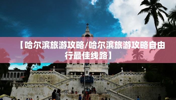 物流宝（物流宝WLB）