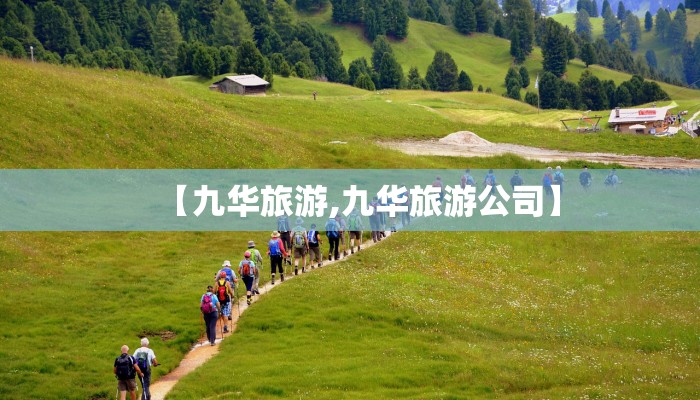 【天地华宇物流单号查询/天地华宇物流网点查询官网】