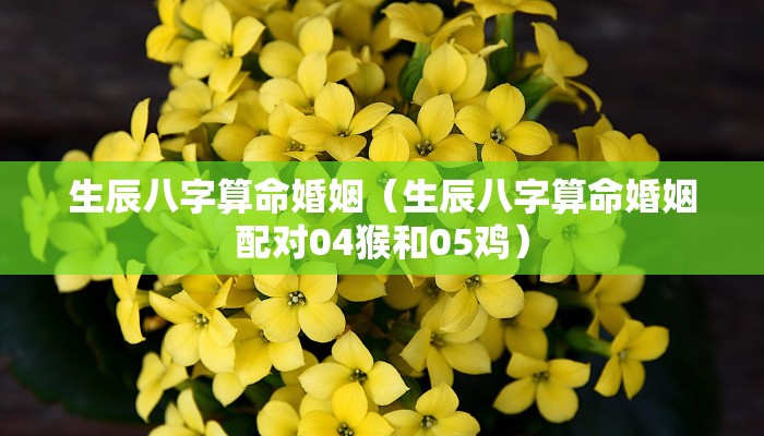 生辰八字算命婚姻（生辰八字算命婚姻配对04猴和05鸡）