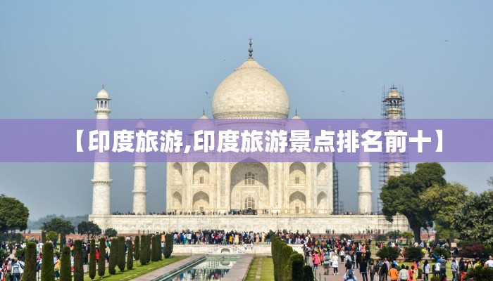 医药物流/医药物流总额