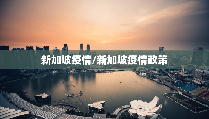新加坡疫情/新加坡疫情政策