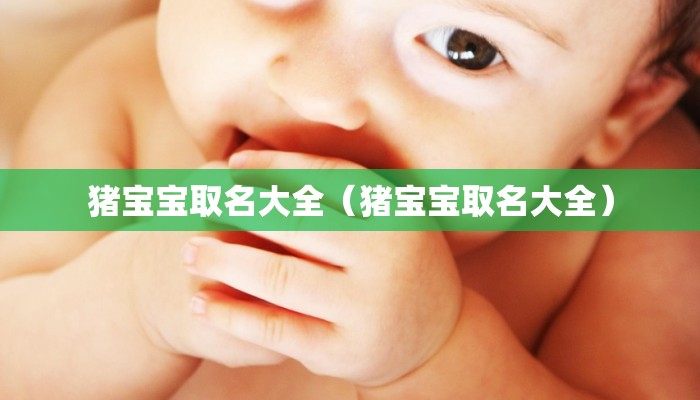 猪宝宝取名大全（猪宝宝取名大全）