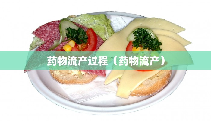药物流产过程（药物流产）