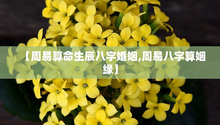 【周易算命生辰八字婚姻,周易八字算姻缘】