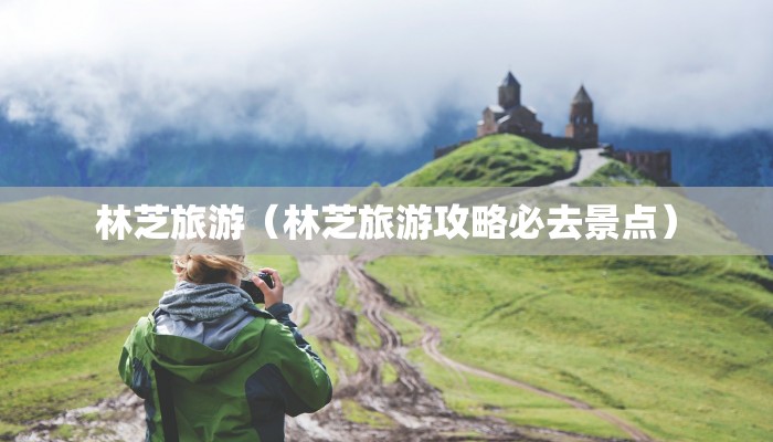 输入单号查快递物流:输入单号查快递物流4308201030271