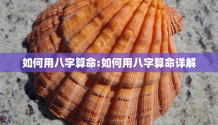 东莞物流:郑州到东莞物流