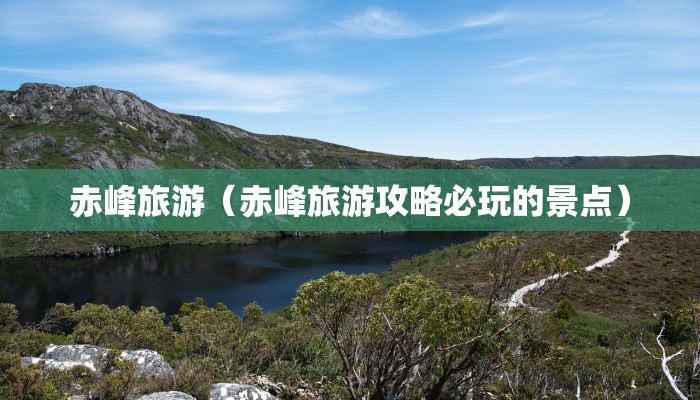 【物流标准化,物流标准化的意义】