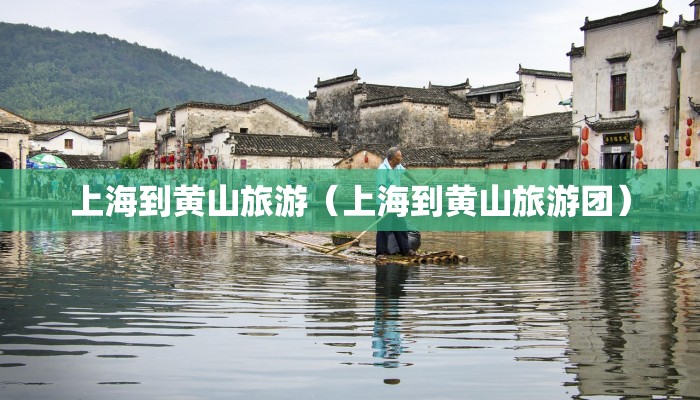 上海到黄山旅游（上海到黄山旅游团）