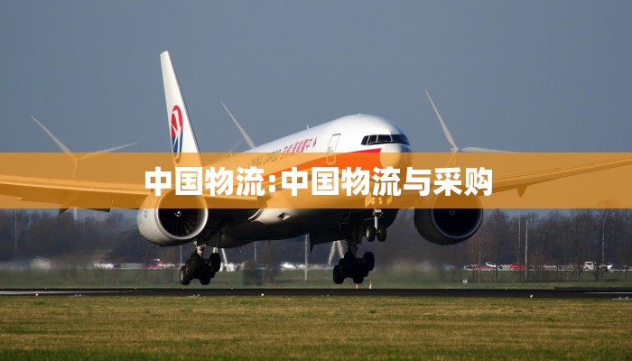 中国物流:中国物流与采购