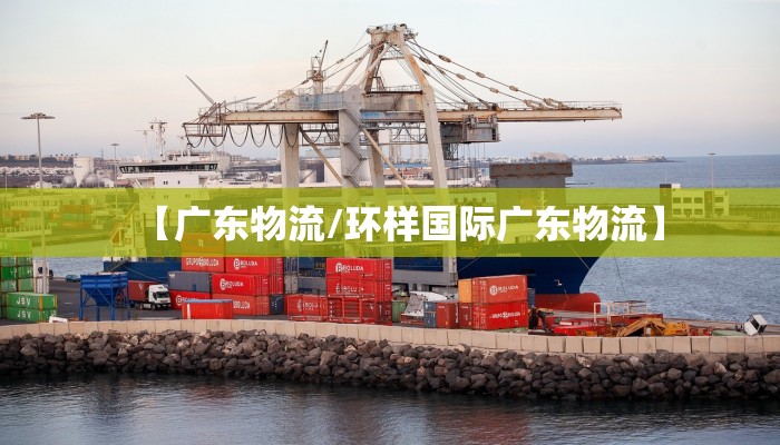 【广东物流/环样国际广东物流】