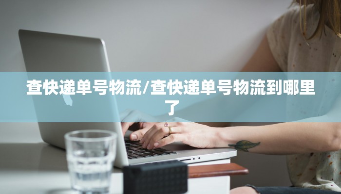 查快递单号物流/查快递单号物流到哪里了