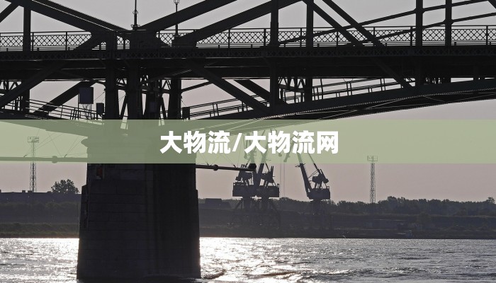 大物流/大物流网