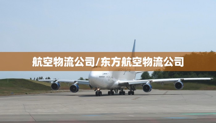 航空物流公司/东方航空物流公司