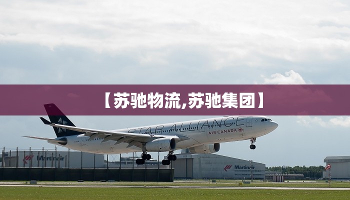 【苏驰物流,苏驰集团】